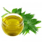 Neem Oil small-image
